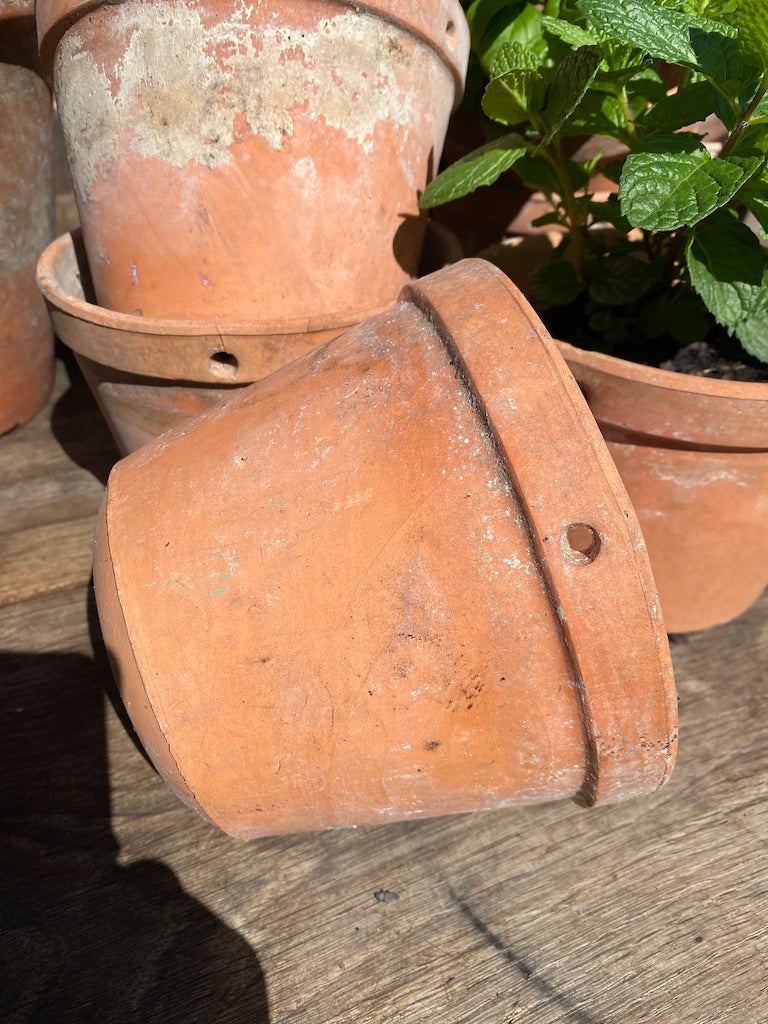 Vintage French Terracotta Pots