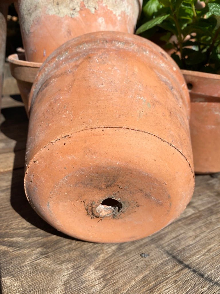 Vintage French Terracotta Pots