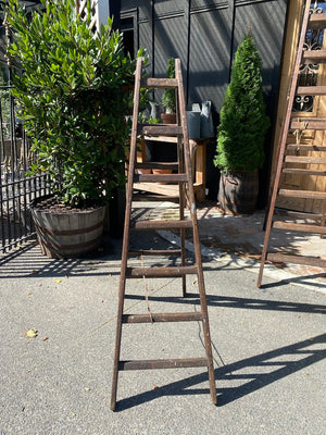 Vintage French Oak Ladders