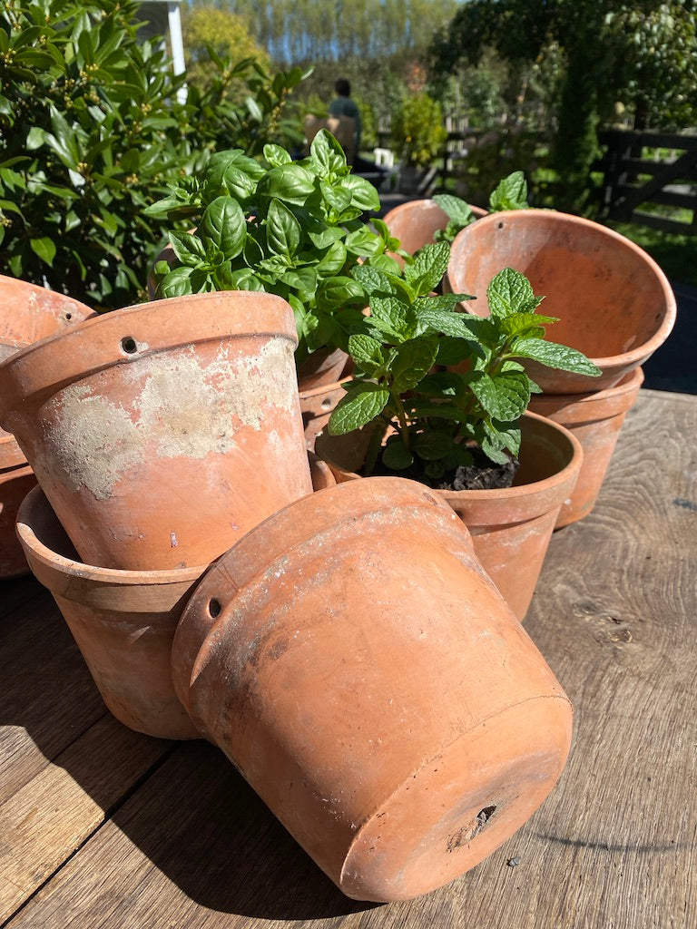 Vintage French Terracotta Pots