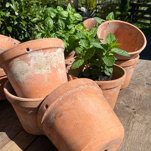 Vintage French Terracotta Pots