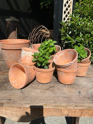 Vintage French Terracotta Pots