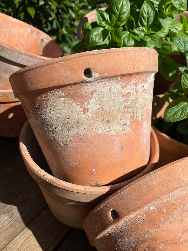 Vintage French Terracotta Pots