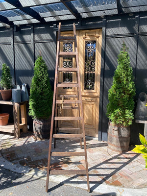 Vintage French Oak Ladders