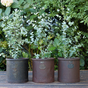 Vintage Industrial Belgium Measures - No 1