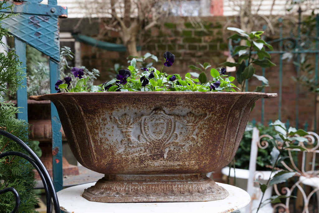 French Cast Iron Planter - Grey/Rusty Patina