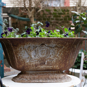 French Cast Iron Planter - Grey/Rusty Patina