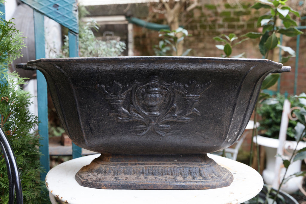 French Cast Iron Planter - Black