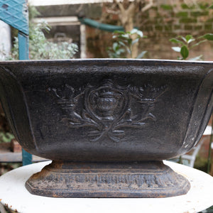 French Cast Iron Planter - Black