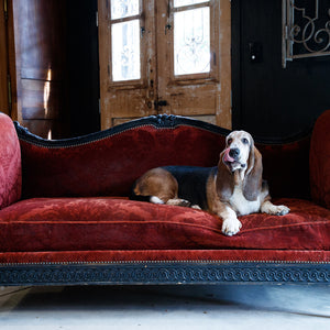 19th Century French Daybed Sofa - Burnt Plum