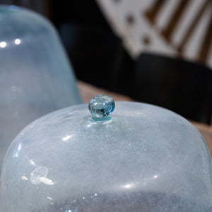 Vintage French Glass Garden Cloches