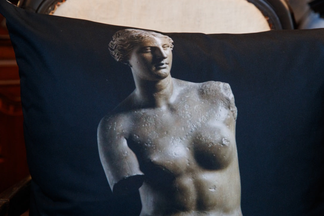 Venus de Milo Cushion