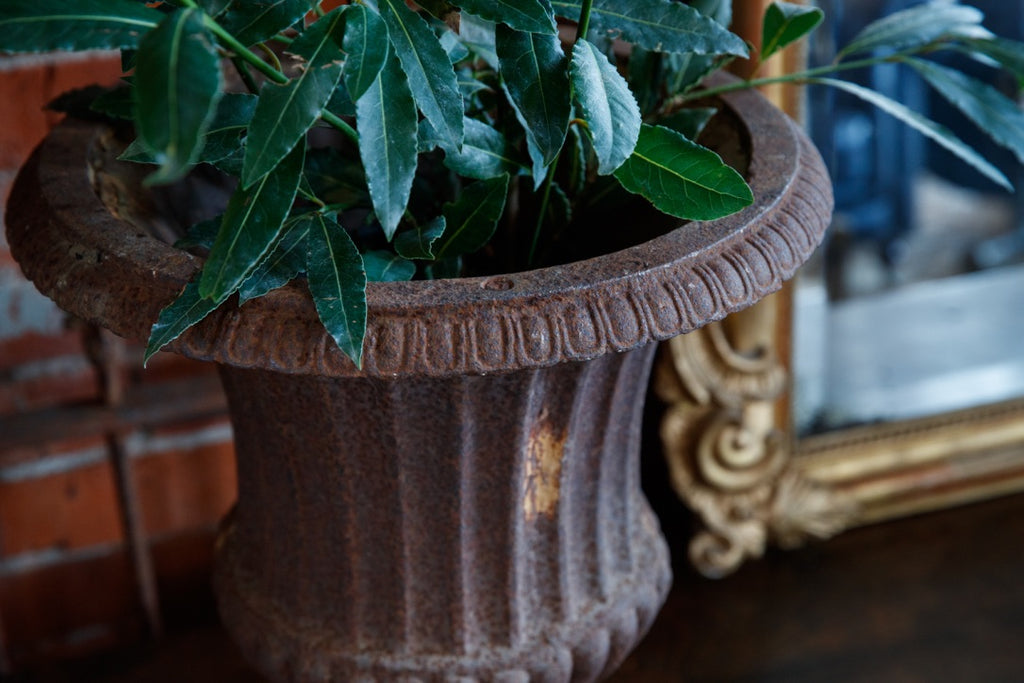 Gorgeous 19th Century French Cast Iron Urns