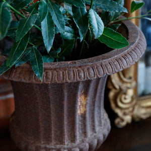 Gorgeous 19th Century French Cast Iron Urns