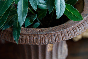 Gorgeous 19th Century French Cast Iron Urns