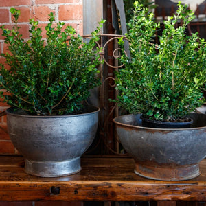 1930's French Bakery Bowls