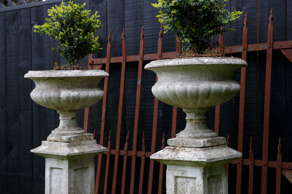 Vintage French Urns & Pedestals