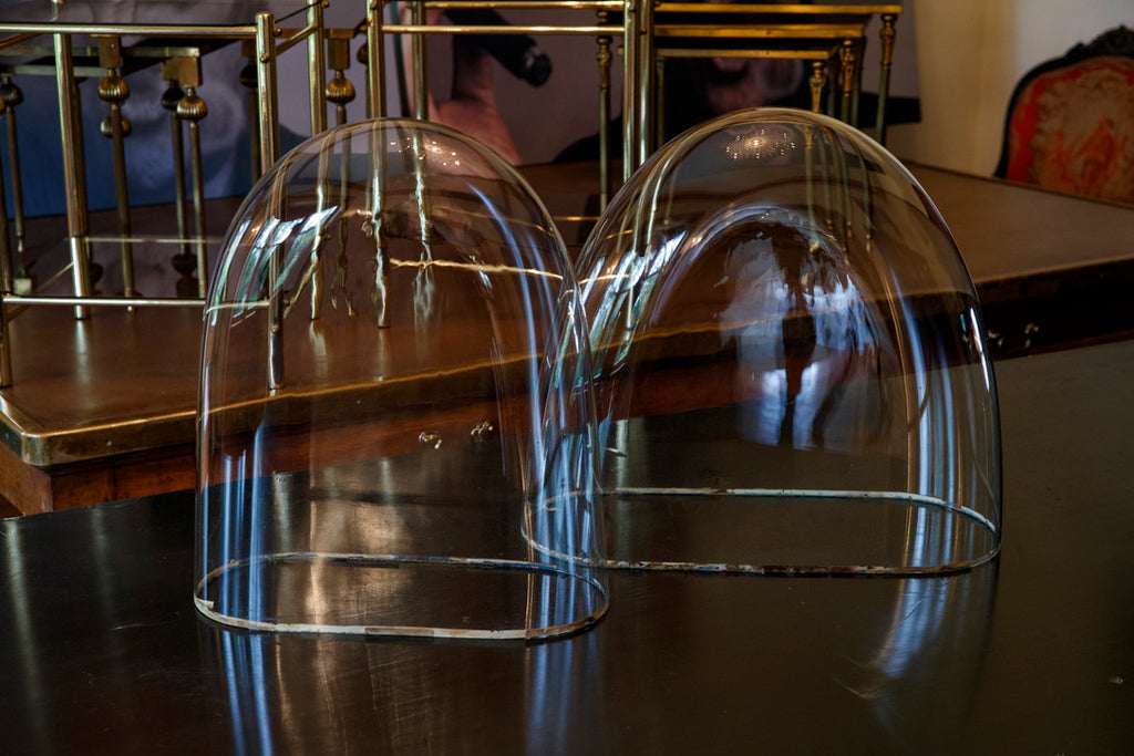 19th Century French Wedding Dome Glass Covers