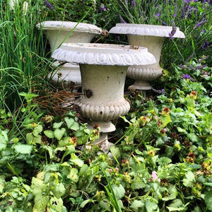 White French Medici Urns